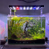 aquascape-for-everyone-learning-and-sharing---part-4
