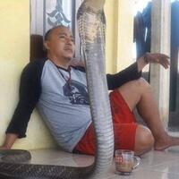 bukan-ular-bukan-tarantula-ini-pemilik-racun-paling-mematikan-di-bumi