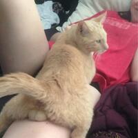 uji-coba-rudal-hipersonik-as-mengalami-kegagalan