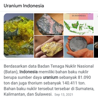 sambut-jokowi-putin-nyatakan-tertarik-garap-nuklir-di-indonesia