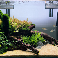 aquascape-for-everyone-learning-and-sharing---part-4