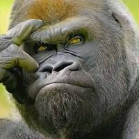 waspada-karma-ini-bahaya-terlalu-sering-menolak-lamaran-cowok-tanpa-alasan-jelas