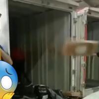 sadis-terekam-kamera-cara-kerja-ekspedisi-terhadap-barang-konsumennya-autopecat
