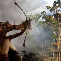 kenapa-mereka-yang-tinggal-di-hutan-indonesia-tak-ingin-pindah-ke-kota