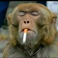 ustadz-abdul-somad-ungkap-hukum-merayakan-ulang-tahun-dengan-meniup-lilin