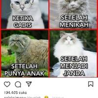 sekedar-referensi-berikut-beberapa-keuntungan-menikahi-seorang-janda