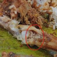 masih-ditemukan-rumah-makan-hidangkan-makanan-tidak-layak-saji-awas-bangkrut