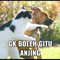 rudi-samin-jne-berdebat-di-saat-polisi-cek-tkp-bansos-dikubur