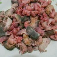 makan-bayi-tikus-hidup-hidup-hidangan-unik-dari-tiongkok-berminat-coba