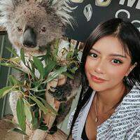 dikira-imut-dan-jinak-wanita-ini-malah--diserang--seekor-koala-di-jalan--kok-bisa