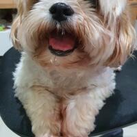 aku-habis-booster-guys-hari-ini