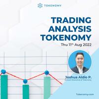 tokenomy-trading-analysis