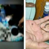 terjadi-lagi-damkar-dipanggil-untuk-lepaskan-cincin-di-mr-p-ini-menjadi-pelajaran