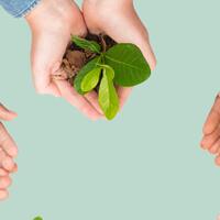 tips-klinik-gigi-go-green
