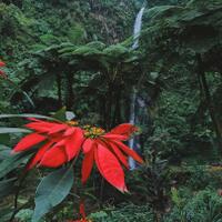 true-story-tertipu-penghuni-air-terjun-tancak