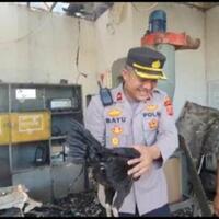 seekor-ayam-selamat-dari-kebakaran-padahal-seluruh-bangunan-hangus-kok-bisa