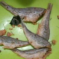 5-jenis-ikan-asin-terfavorit-dan-banyak-dikonsumsi-kesukaan-kalian-ada-gak