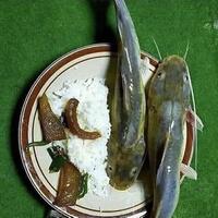 pria-ini-ternak-ikan-lele-di-septic-tank-untuk-dikonsumsi