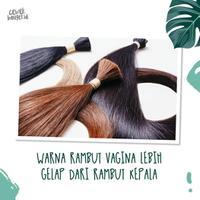 apakah-rambut-blonde-merah-coklat-bulu-kemaluan-dan-keteknya-juga-berwarna-sama