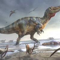 mengapa-di-indonesia-tidak-ada-fosil-dinosaurus