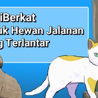 bagiberkat-untuk-hewan-jalanan-yang-terlantar