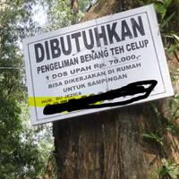 pelajari-berbagai-modus-mungkin-penipuan-lowongan-pekerjaan-awas-tertipu