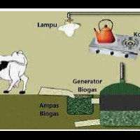 bio-gas-kotoran-sapi