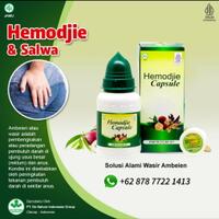 obat-herbal-ambeien-hemodjie-capsule-herbal-cara-efektif-mengobati-ambeien-wasir