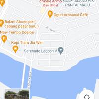 pik-punya-gaye-1st-chinese-massas-one-and-only-tao-hua-dao-an-mo