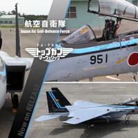 tampil-beda-f-15-eagle-jepang-memakai-livery-jet-tempur-maverick-dari-film-top-gun-2