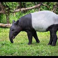 matahari-buatan-cahaya-hangat-untuk-umat-manusia