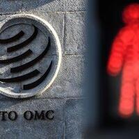 ri-kalah-di-wto-tenang-masih-ada-harapan-buat-banding