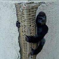 wah-indahnya-7-potret-street-art-keren-yang-dibuat-pada-benda-benda-random