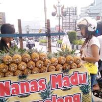 fakta-tentang-nanas-madu-dari-info-pedagangnya-pantes-ramai-terus