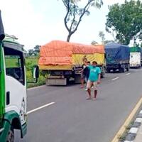cerita-sedih-dibalik-potekan-daun-yang-dipasang-di-truk-mogok