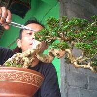 berpeluang-dihargai-mahal-berikut-ini-beberapa-hobi-yang-sangat-menguntungkan
