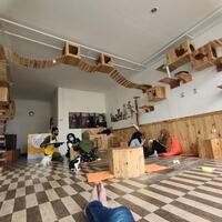 keren-hobi-pelihara-kucing-bisa-jadi-ide-kreatif