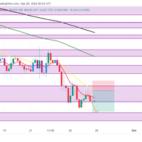 alphawolvesglobal-free-daily-gold-signal