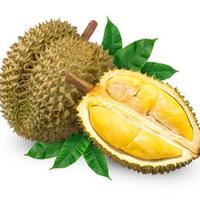 tips-memilih-durian-yang-manis-dan-cara-menyimpannya-catat