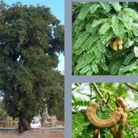 13-potret-dengan-momen-langka-yang-mungkin-tak-akan-kamu-temukan-dalam-kehidupanmu