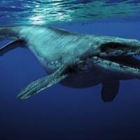 6-makhluk-menyeramkan-bertubuh-gigantisme-yang-pernah-hidup-di-hamparan-lautan