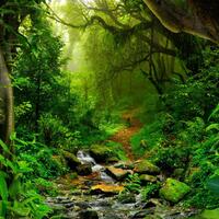 hutan-amazon-telah-mencapai-titik-kritis