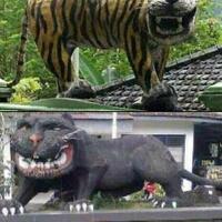 projects-menghidupkan-kembali-harimau-tasmania-yang-sudah-punah