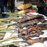 5-makanan-ekstrem-asal-indonesia-yang-menggugah-selera-berani-coba