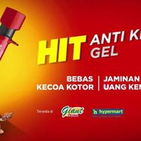 bahaya-membunuh-kecoa-hingga-isi-perutnya-keluar-ini-resikonya