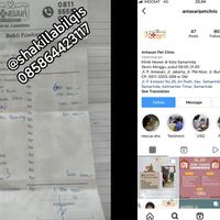 banyak-penipu-open-donasi-bantu-hewan-terlantar-6-kucing-mati-belasan-terlantar