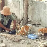pilih-mana-gan-membantu-kucing-kelaparan-atau-gembel-dijalan