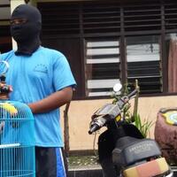 meresahkan-para-kicau-mania-waspada-marak-pencuri-spesialis-burung-mahal