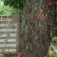 killing-tree-saksi-bisu-tragedi-berdarah-memakan-puluhan-ribu-orang-di-kamboja