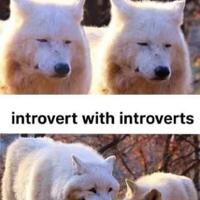 suka-menyendiri-ini-beberapa-hobi-yang-cocok-untuk-orang-berkepribadian-introvert